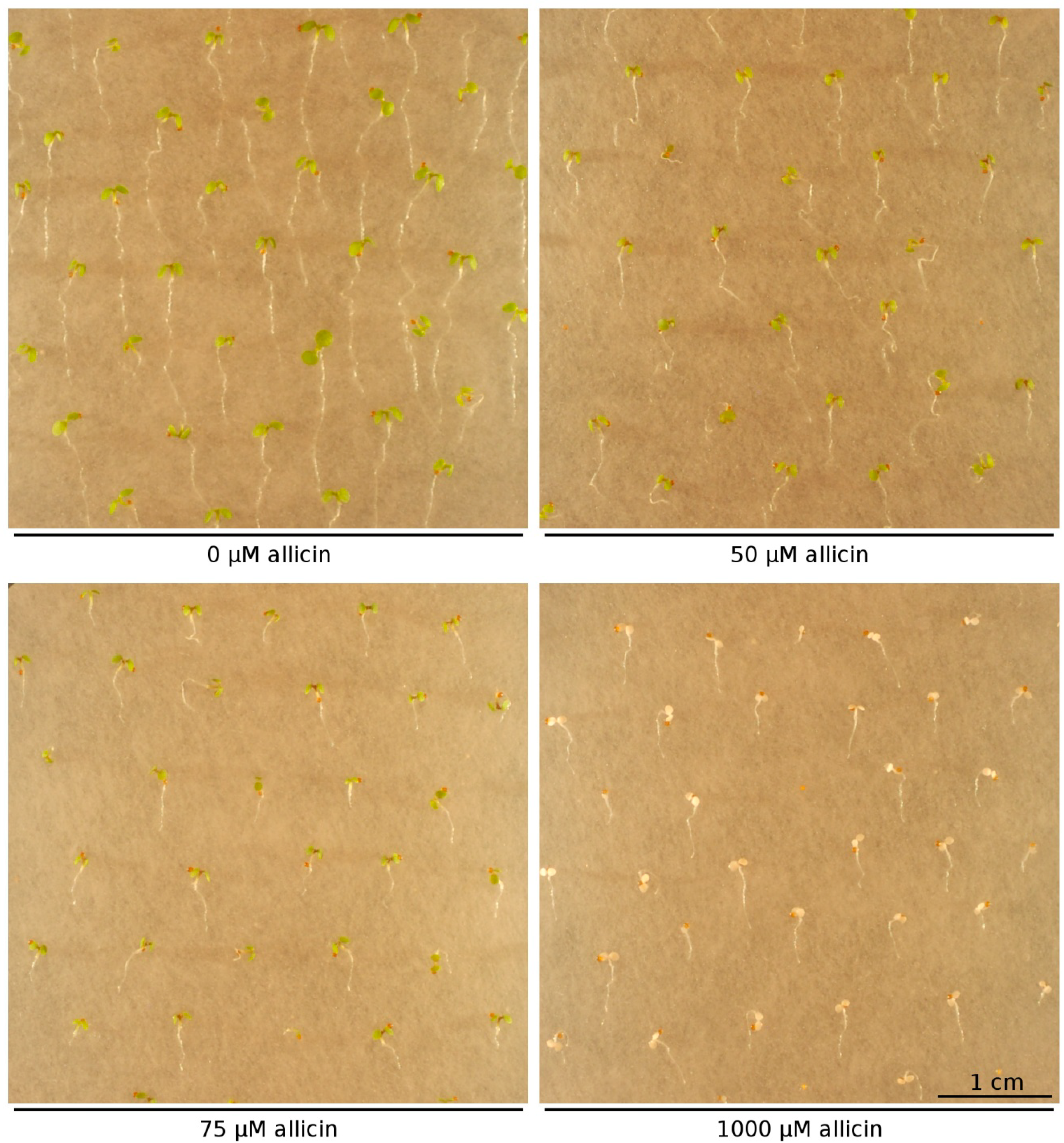 Molecules 19 12591 g003