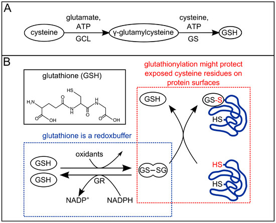 Molecules 19 12591 g006 550