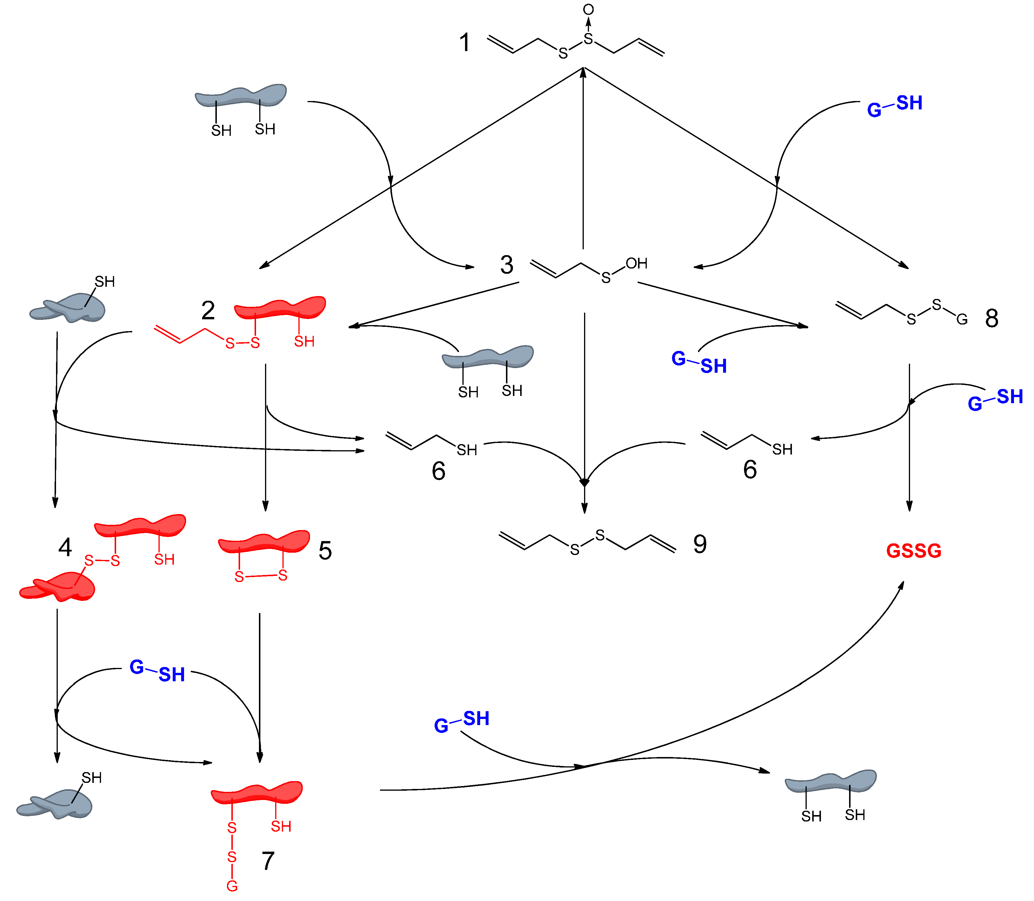 Molecules 19 12591 g009