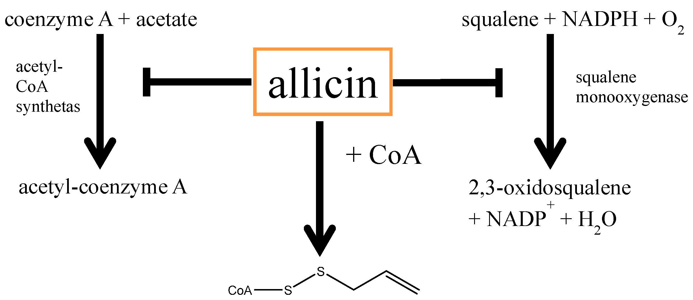 Molecules 19 12591 g010