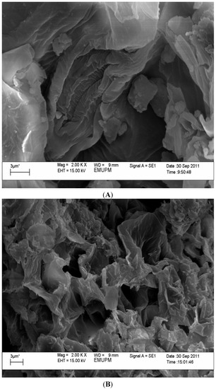 Molecules 19 12640 g002 550