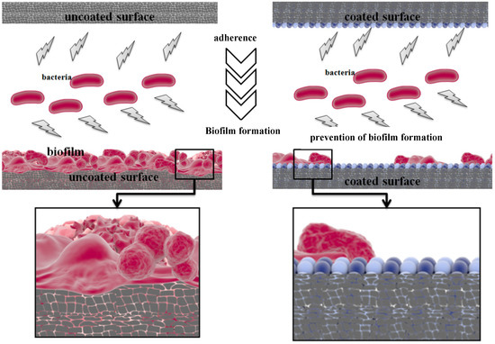 Molecules 19 12710 g002 550