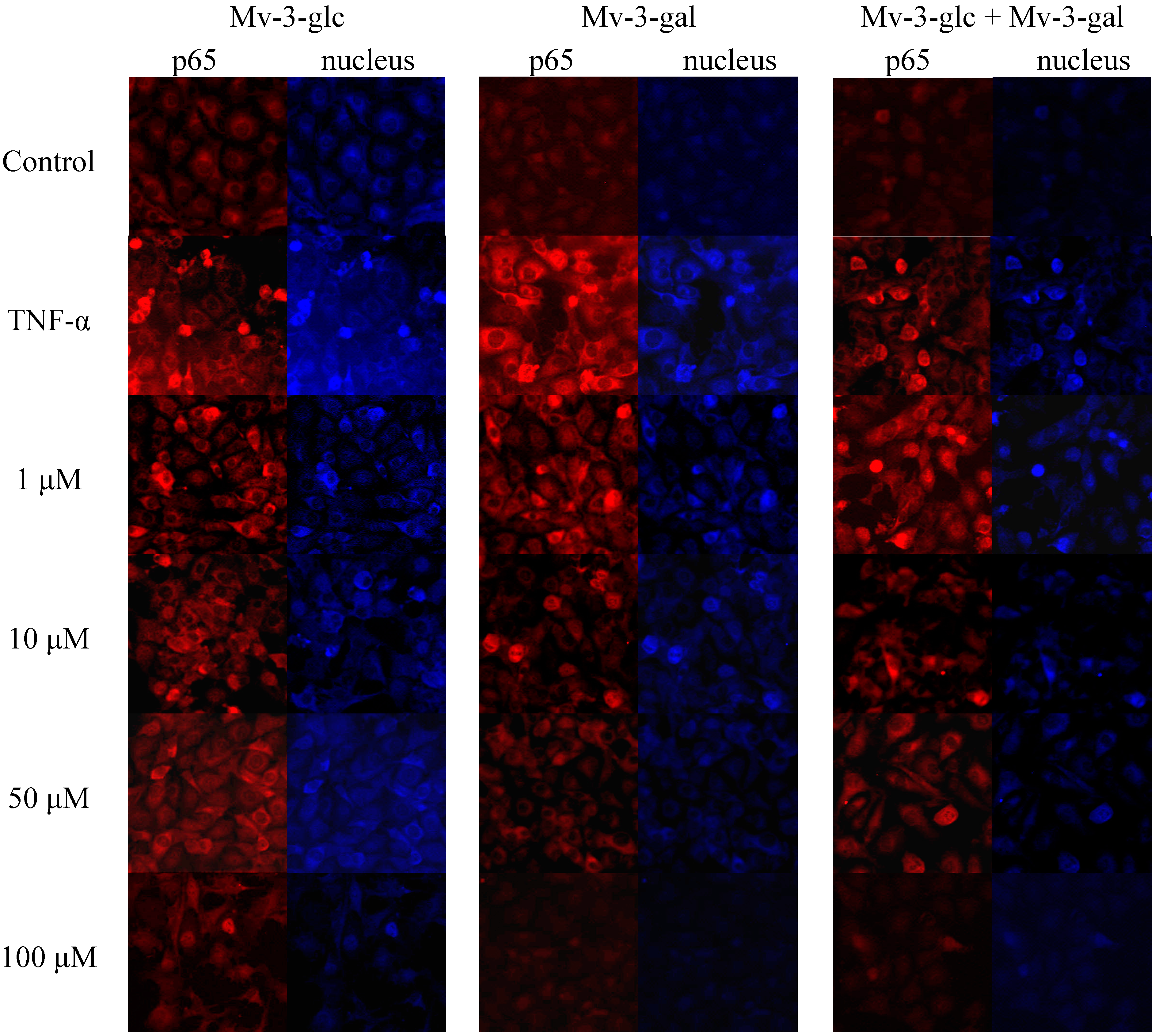 Molecules 19 12827 g005