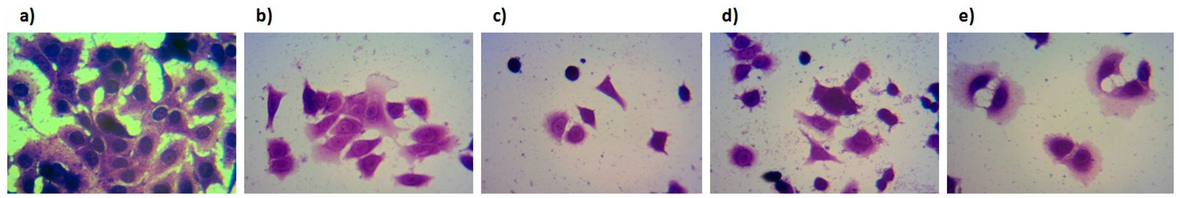 Molecules 19 12852 g011