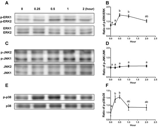 Molecules 19 12909 g002 550