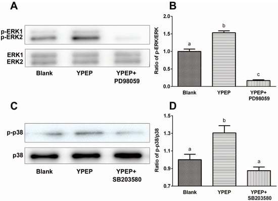 Molecules 19 12909 g003 550