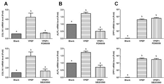 Molecules 19 12909 g006 550