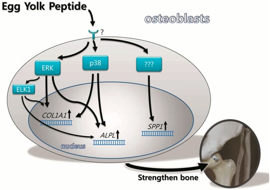 Molecules 19 12909 g008 550