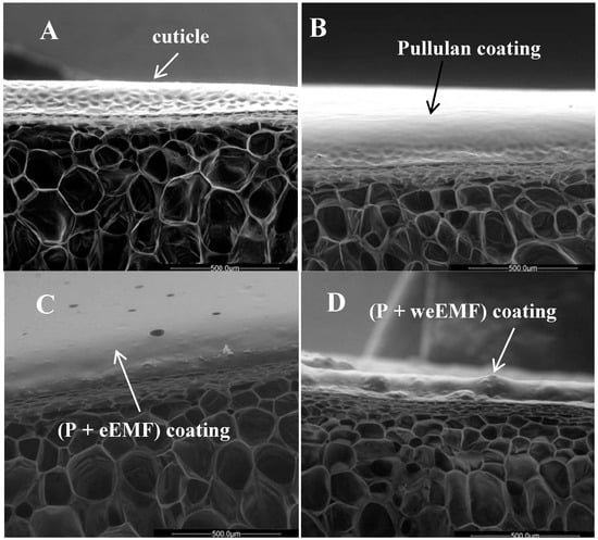 Molecules 19 12925 g003 550