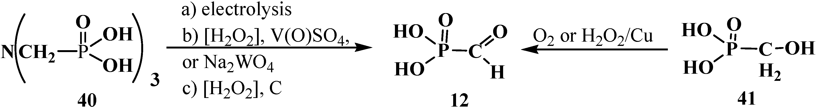 Molecules 19 12949 g010