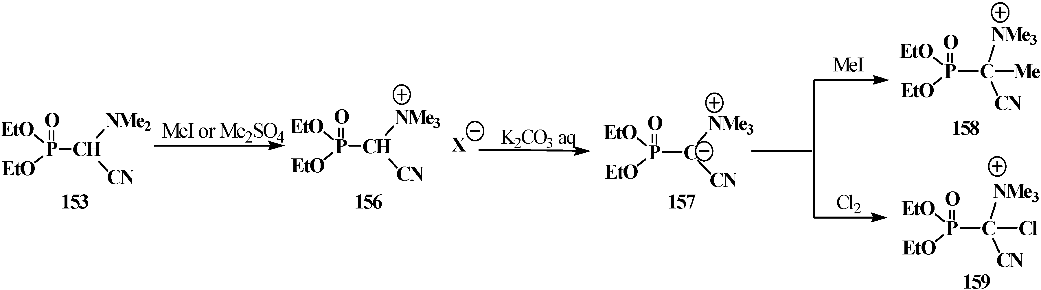 Molecules 19 12949 g051