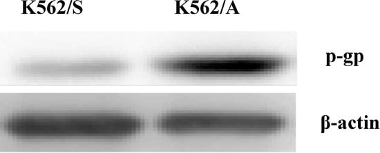 Molecules 19 13061 g001 550