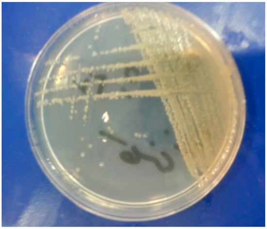 Molecules 19 13093 g001 550