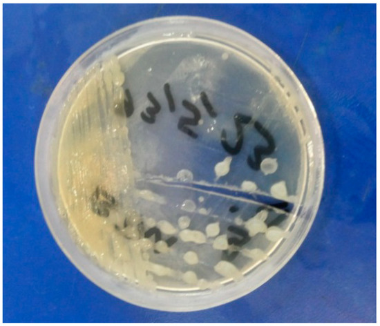 Molecules 19 13093 g002 550