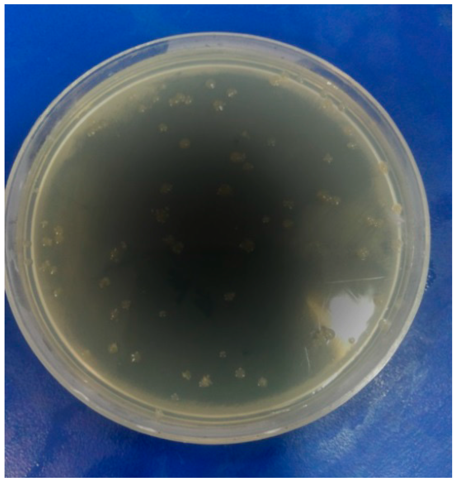 Molecules 19 13093 g003