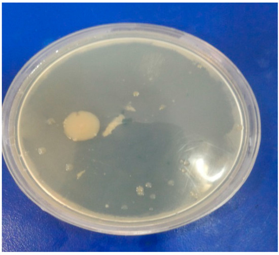 Molecules 19 13093 g004 550