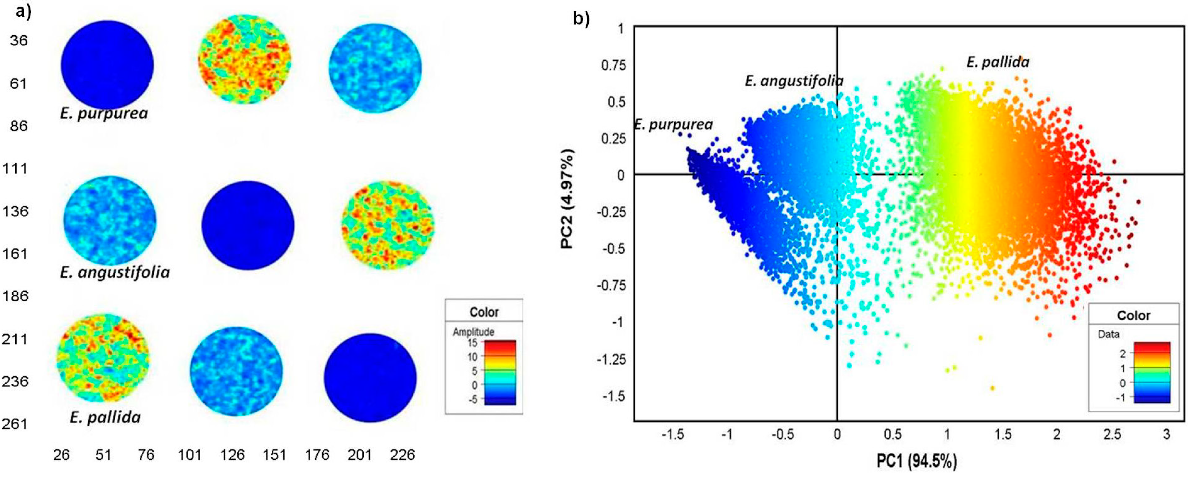 Molecules 19 13104 g005