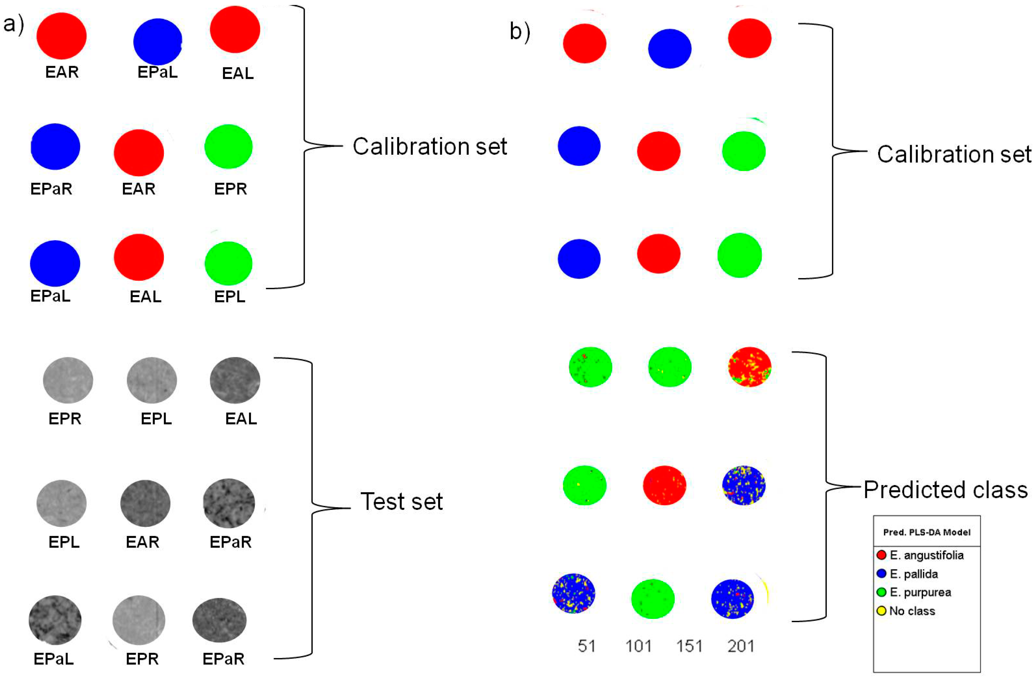 Molecules 19 13104 g008