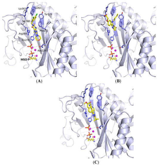 Molecules 19 13161 g009 550