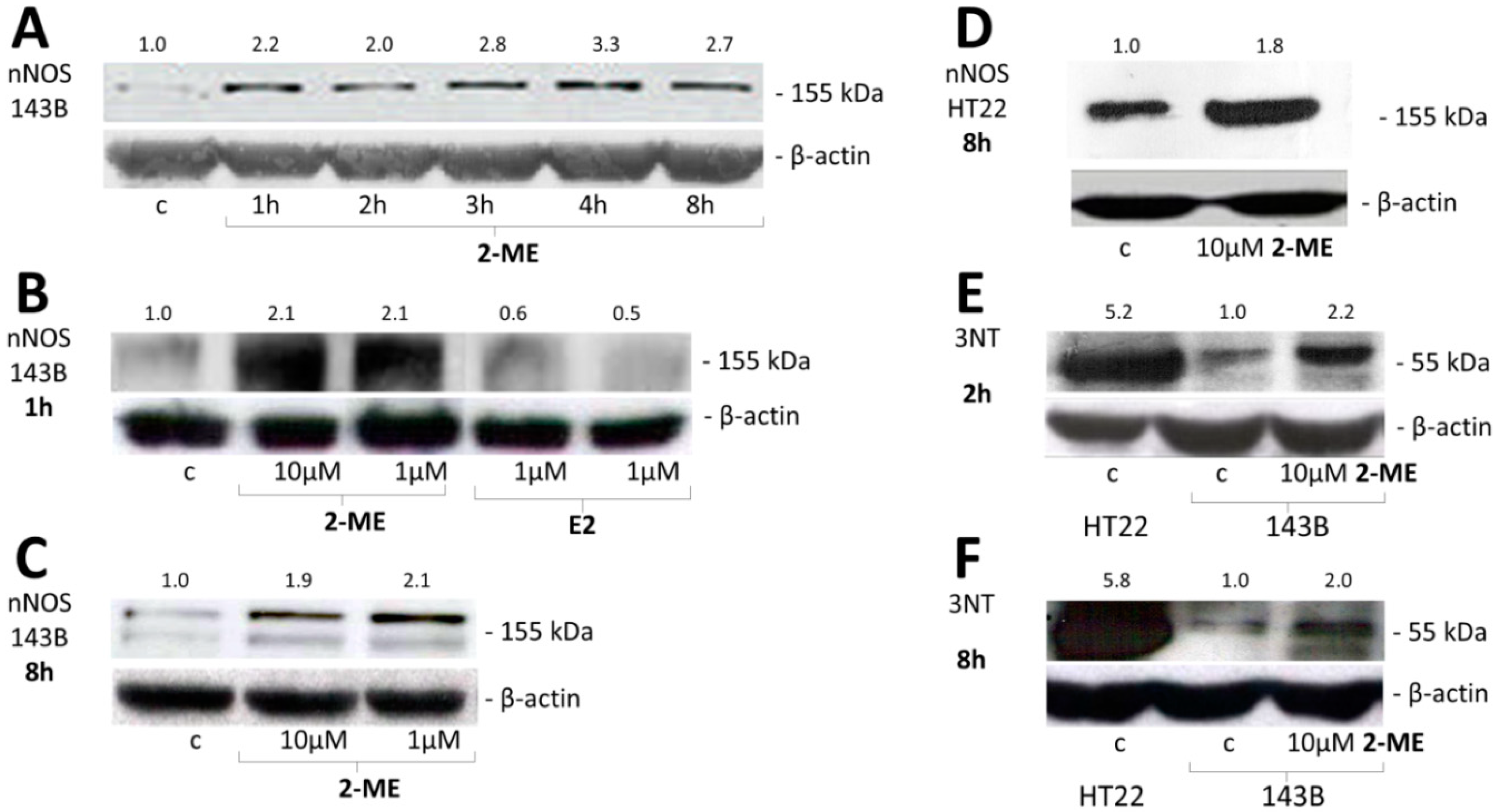 Molecules 19 13267 g003