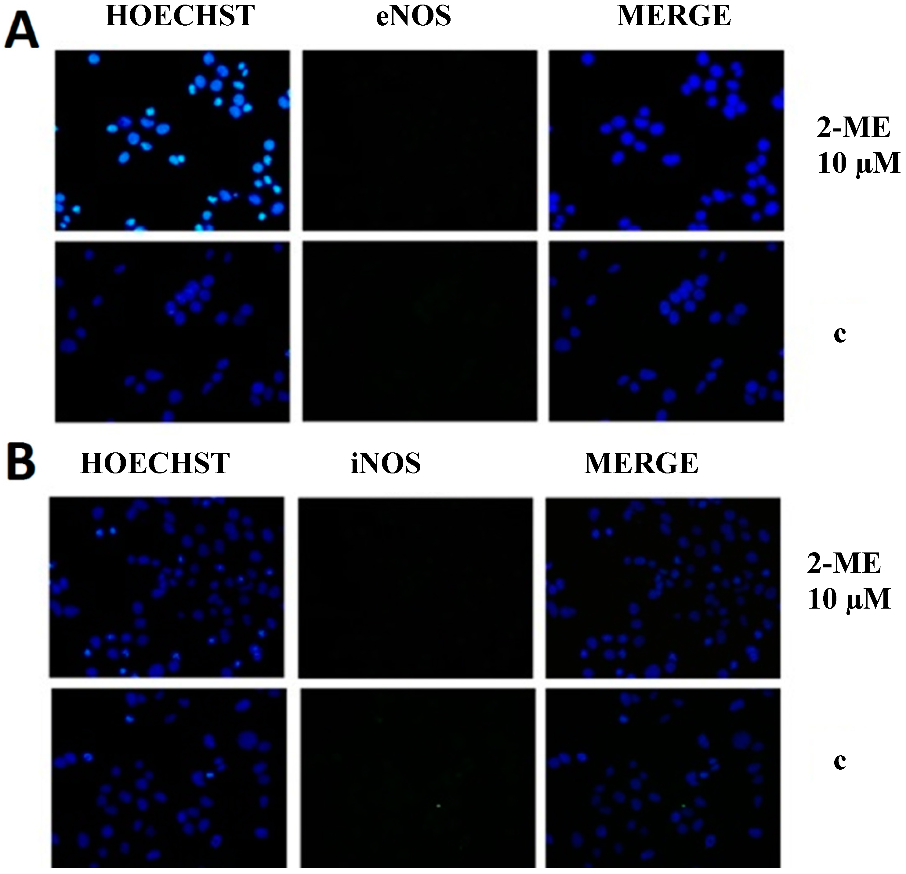 Molecules 19 13267 g004