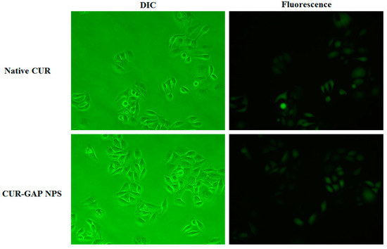 Molecules 19 13305 g006 550