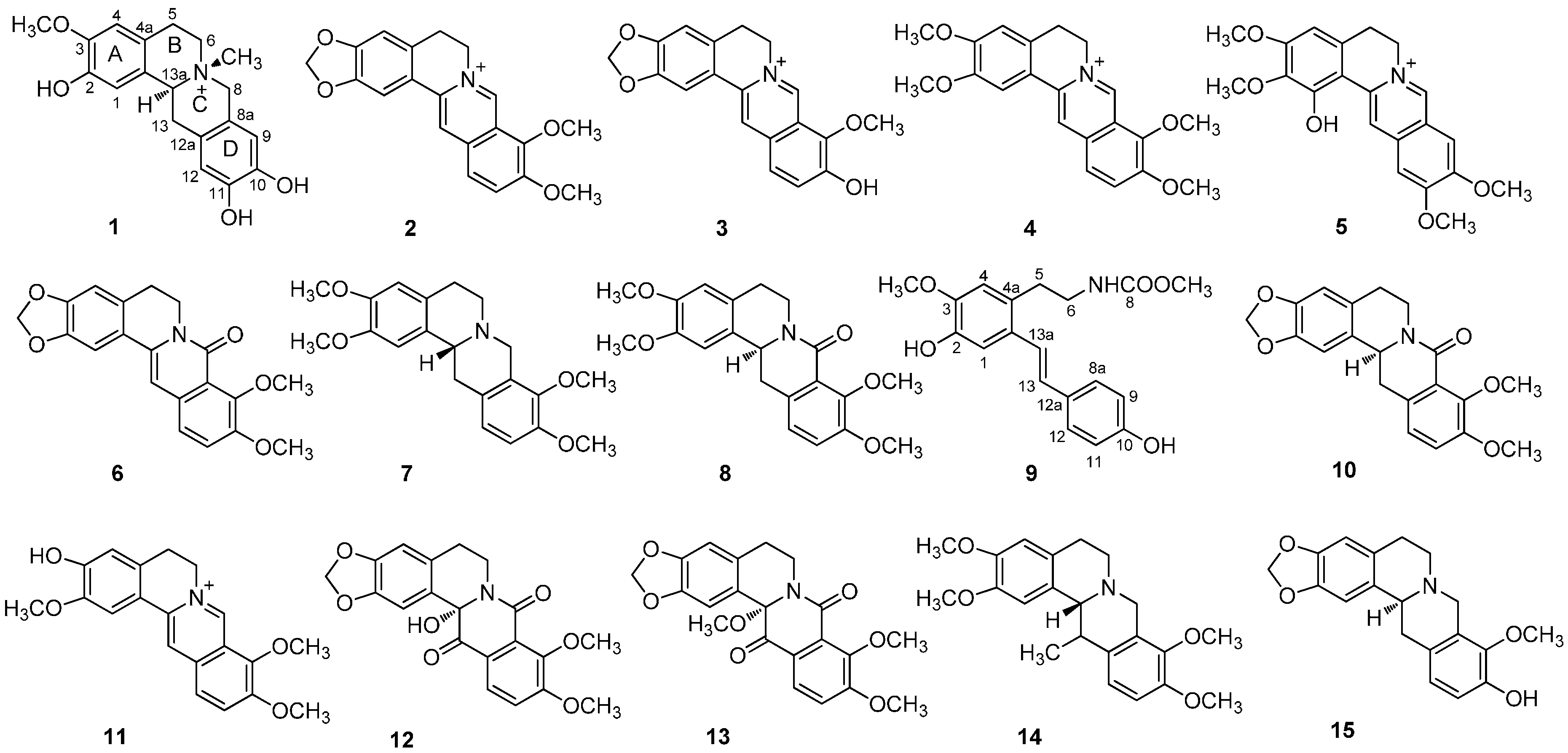 Molecules 19 13332 g001