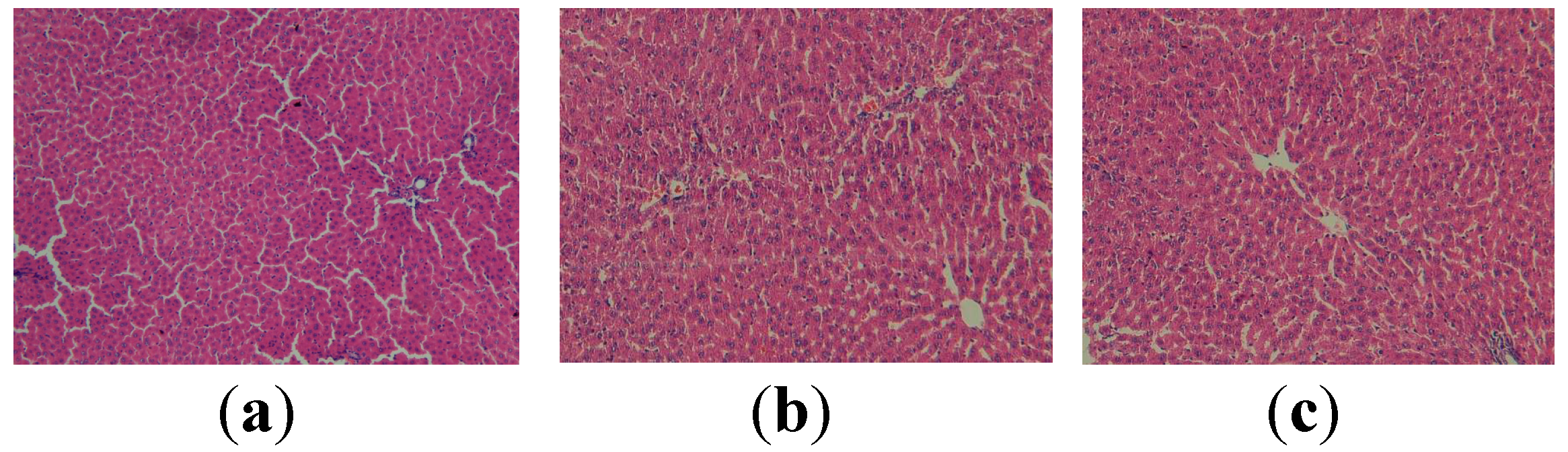Molecules 19 13374 g001