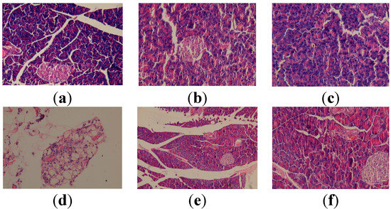 Molecules 19 13374 g004 550