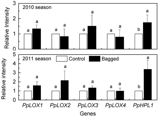 Molecules 19 13461 g002 550