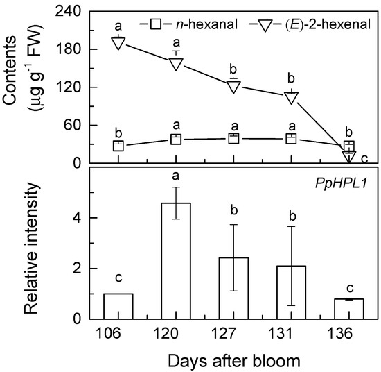 Molecules 19 13461 g004 550
