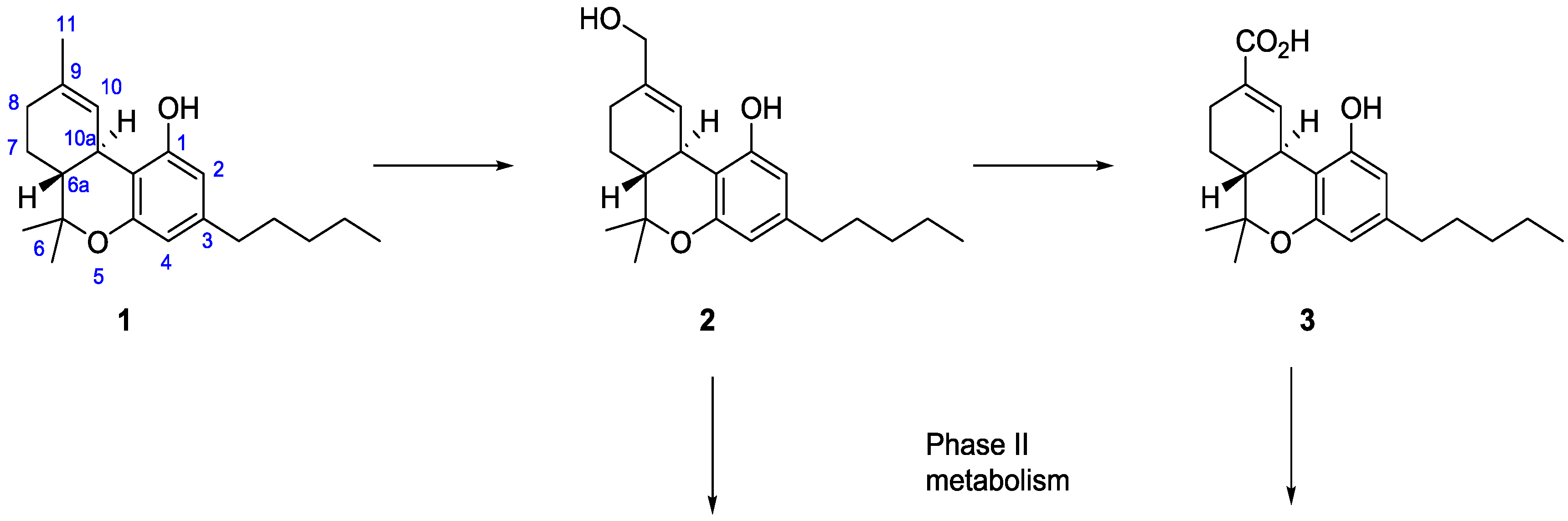 Molecules 19 13526 g003