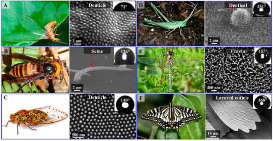 Molecules 19 13614 g002 550