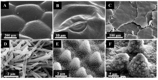 Molecules 19 13614 g003 550