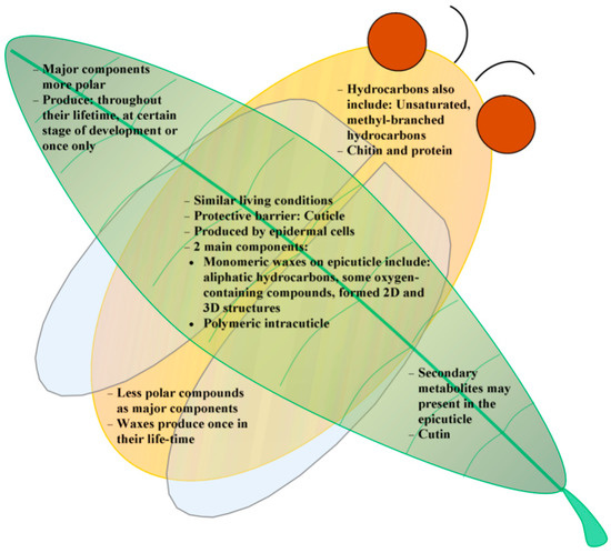 Molecules 19 13614 g004 550