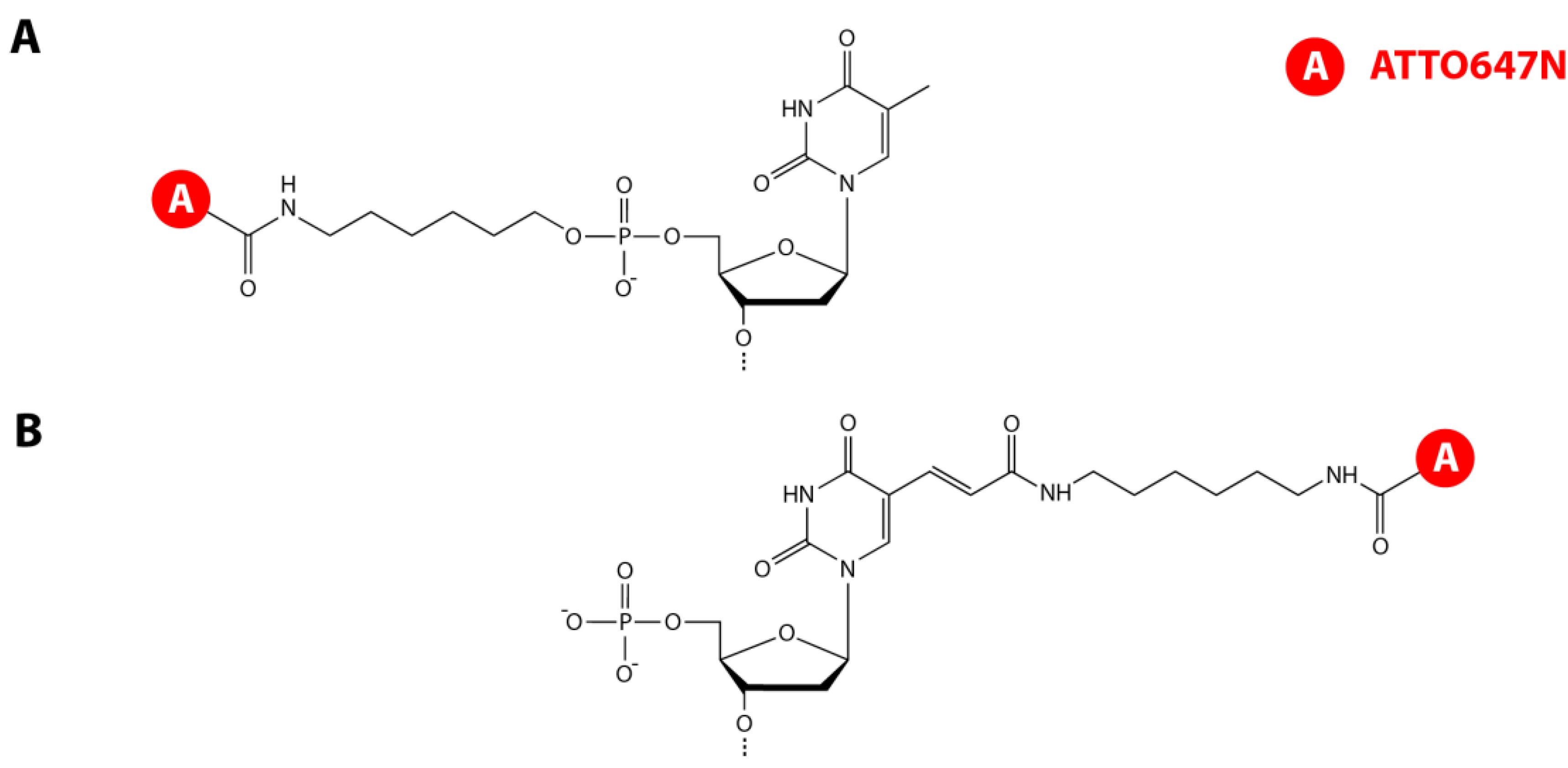 Molecules 19 13735 g005
