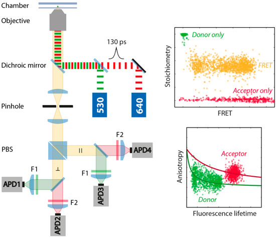 Molecules 19 13735 g006 550