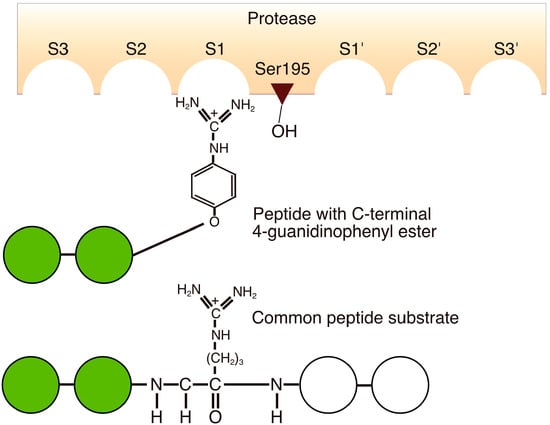 Molecules 19 13755 g003 550