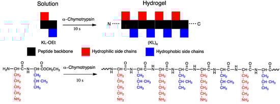 Molecules 19 13755 g008 550