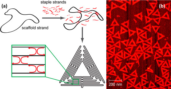 Molecules 19 13803 g001 550