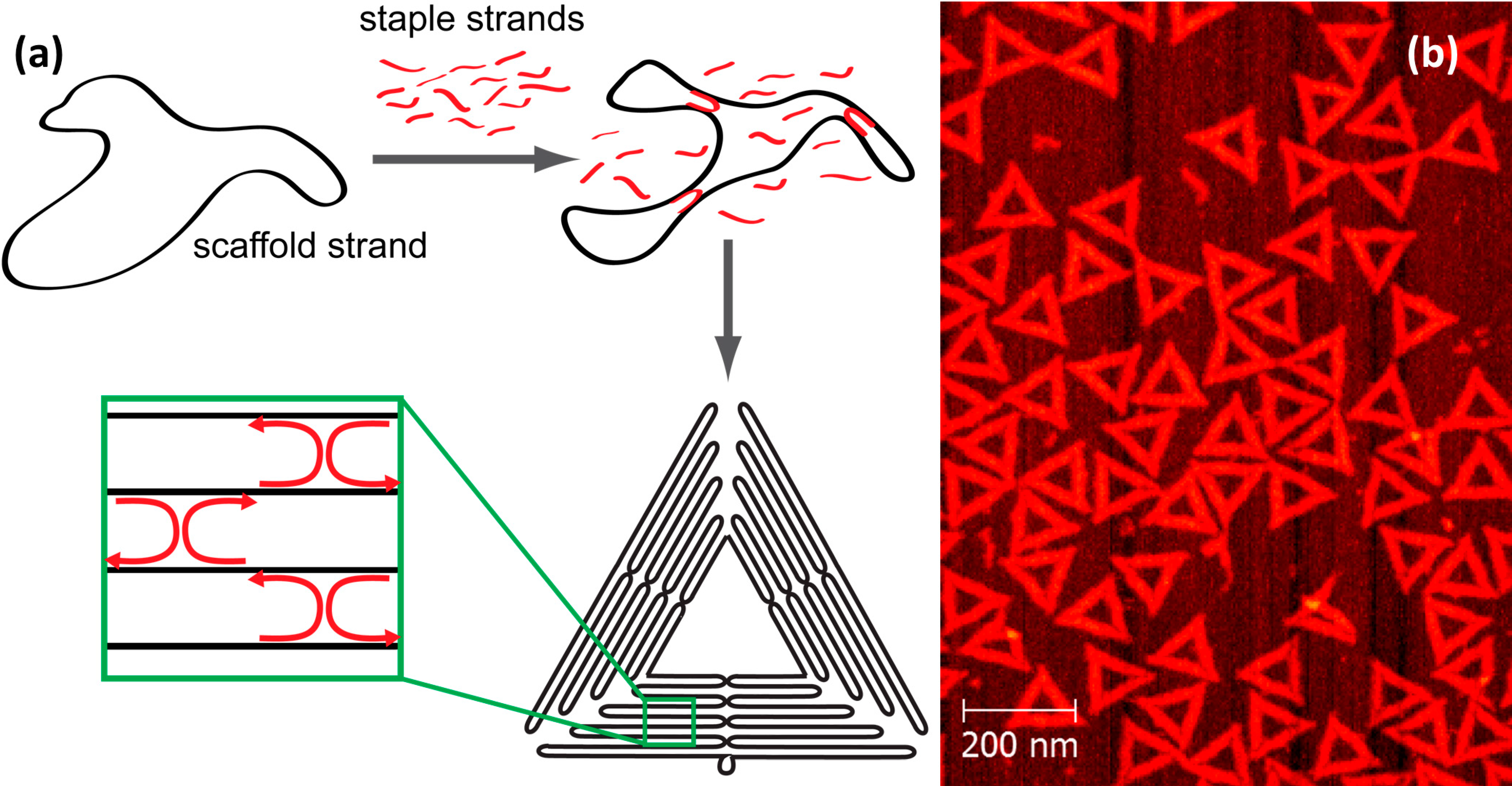 Molecules 19 13803 g001