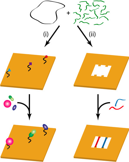 Molecules 19 13803 g002 550