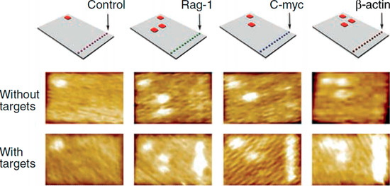 Molecules 19 13803 g003 550