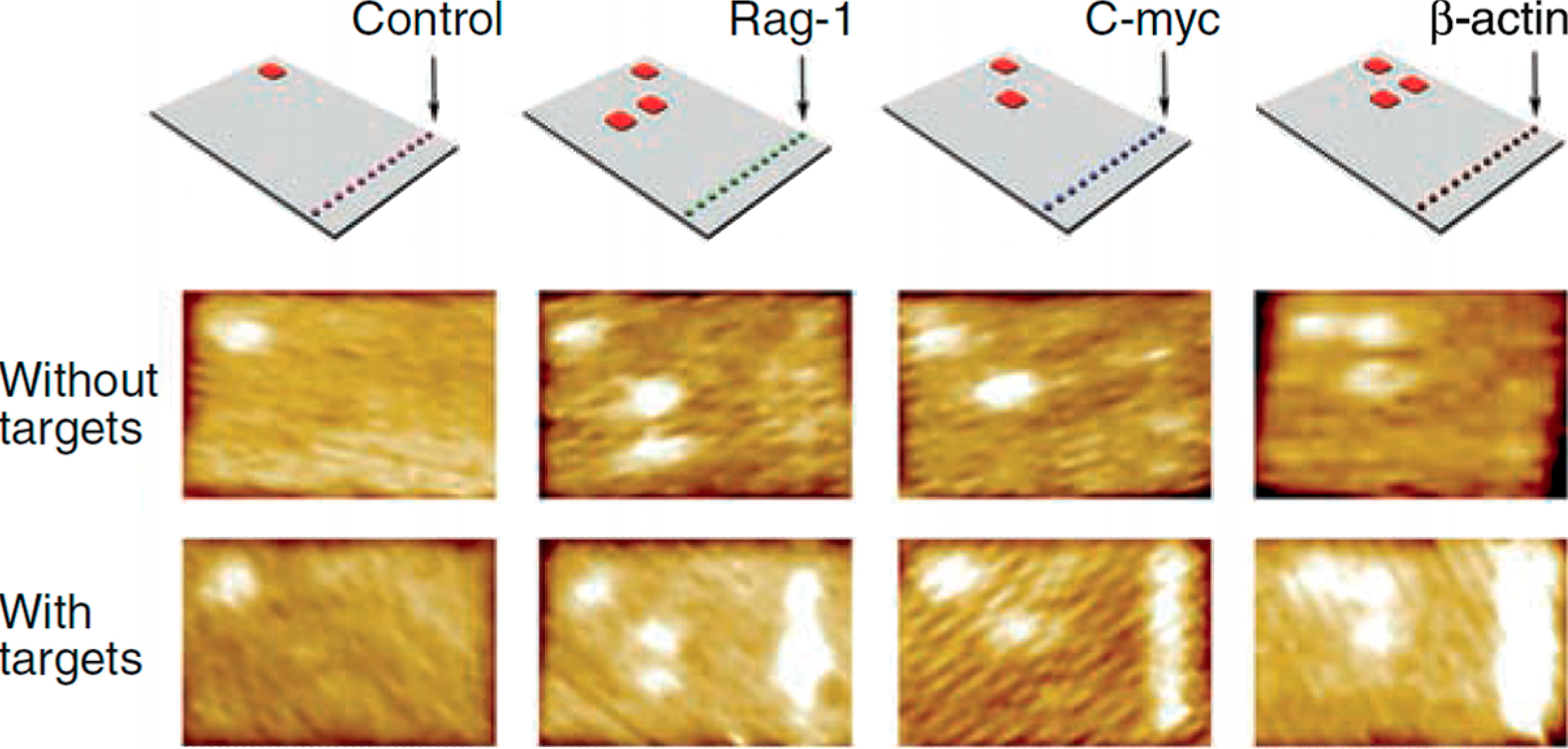 Molecules 19 13803 g003
