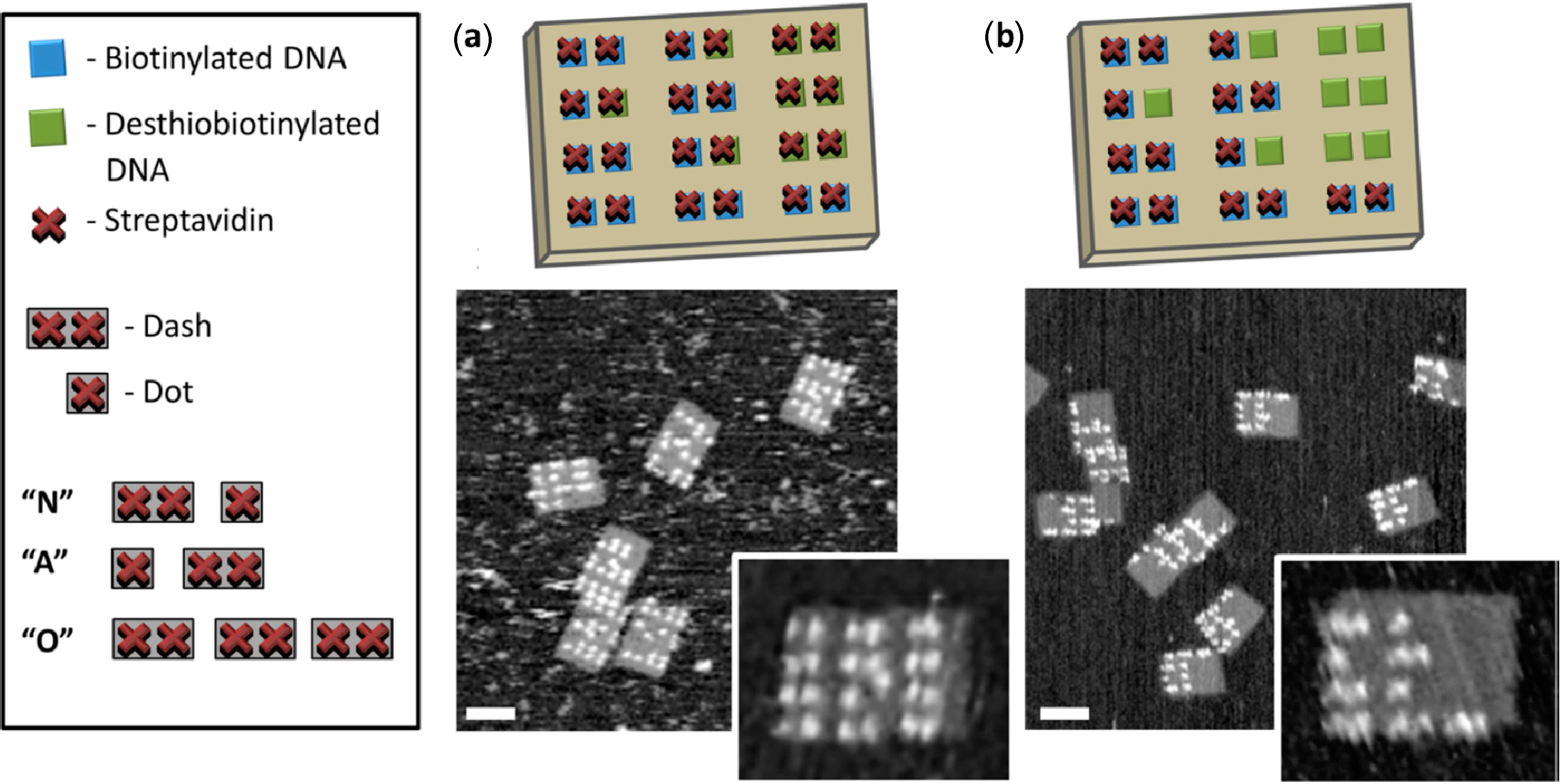 Molecules 19 13803 g007