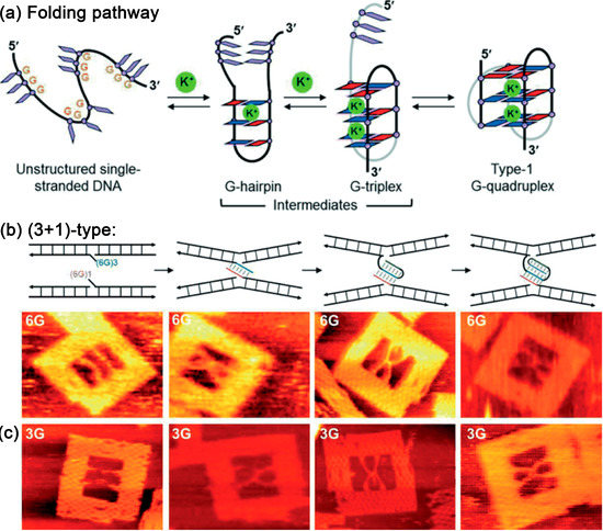 Molecules 19 13803 g010 550