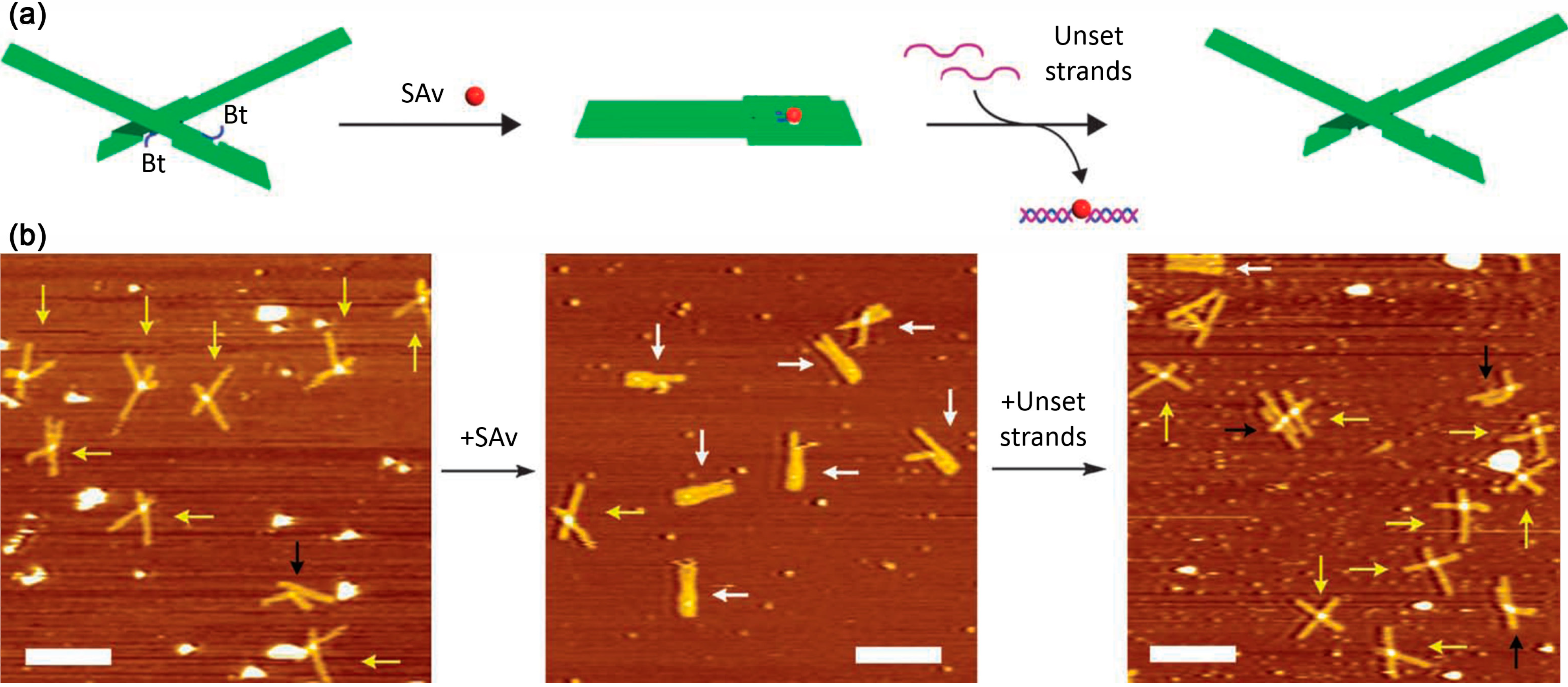 Molecules 19 13803 g011