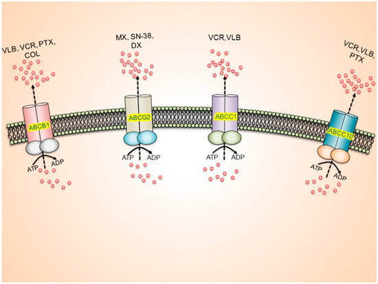 Molecules 19 13848 g001 550