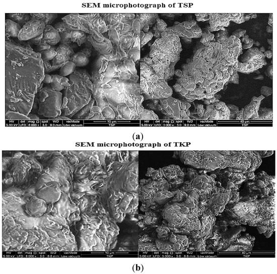 Molecules 19 13909 g004 550