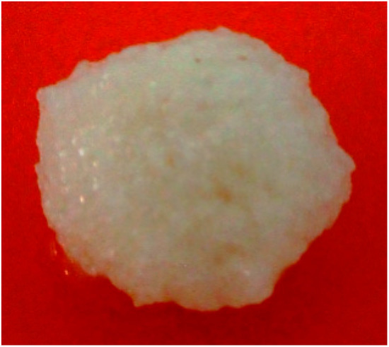 Molecules 19 13909 g011 550